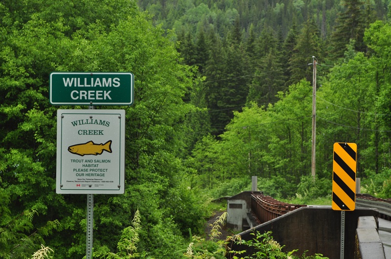 Williams Creek
